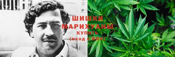 МДПВ Нязепетровск