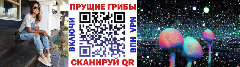 МЕГА вход  Безенчук  Галлюциногенные грибы прущие грибы 