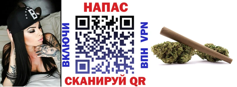 Конопля гибрид Безенчук